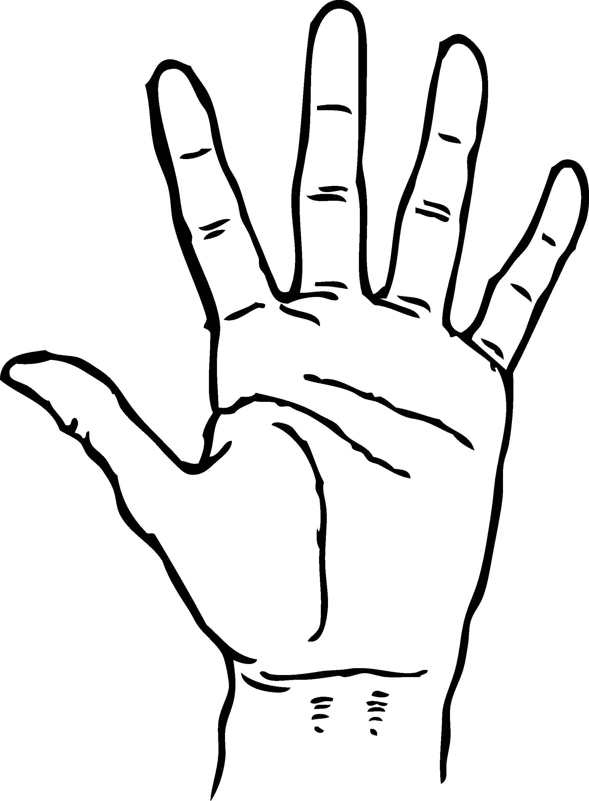 Раскраска Рука человека Скачать руки, ладони.  Распечатать ,рука,