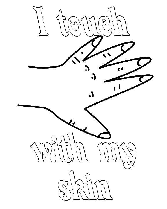 Раскраска Рука с маникюром Скачать рука, ногти, пальцы.  Распечатать ,рука,