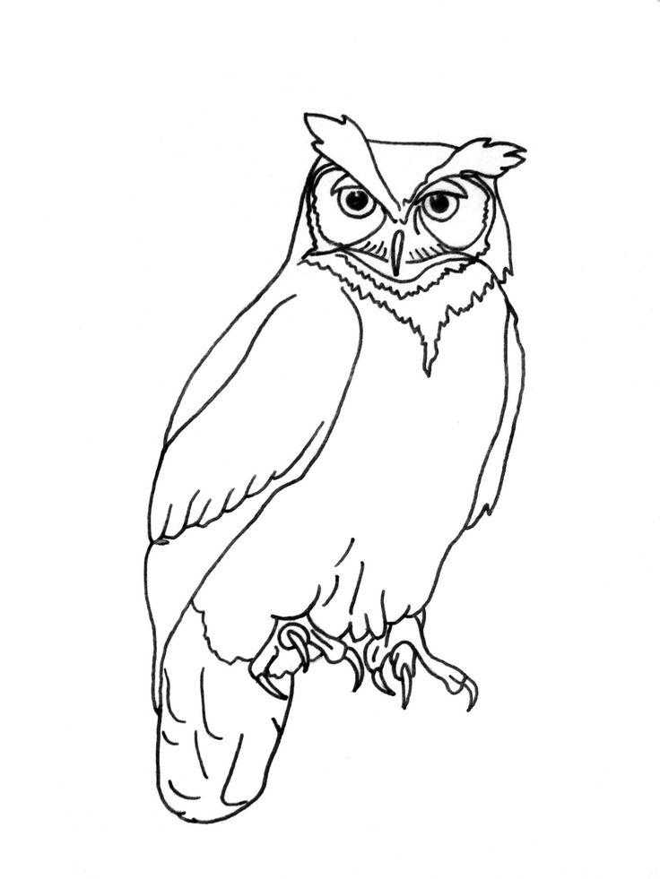 Coloring Owl. Category The contours for cutting out the birds. Tags:  owl.