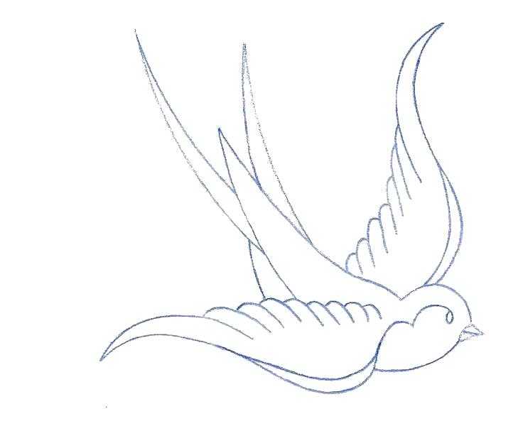 Coloring Swallow. Category The contours for cutting out the birds. Tags:  swallow .