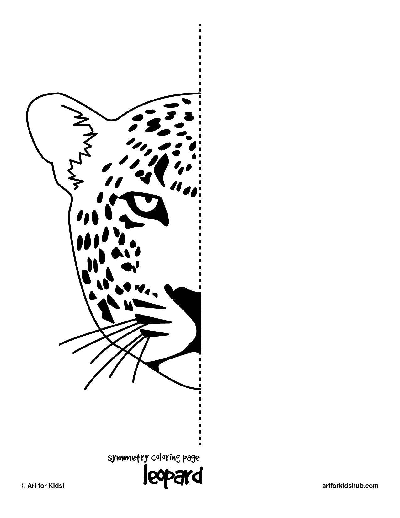 Розмальовки  Леопард. Завантажити розмальовку леопард, розмальовка.  Роздрукувати ,Калейдоскоп,