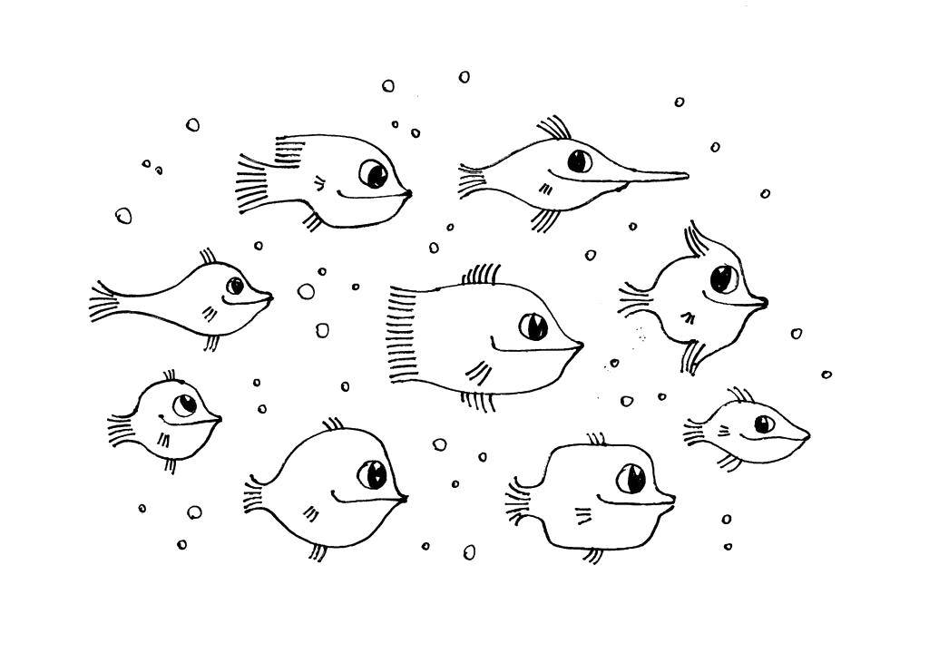 Розмальовки  Різні види риб, що пливуть разом. Завантажити розмальовку Підводний світ, риба.  Роздрукувати ,риби,