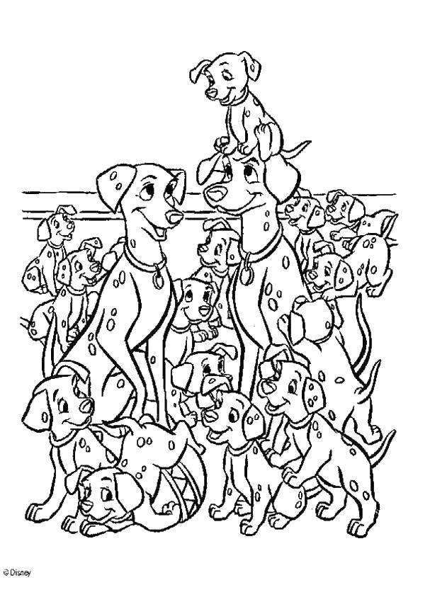Название: Раскраска 101 далматинец. Категория: 101 далматинец. Теги: далматинец, щенки, щенки.