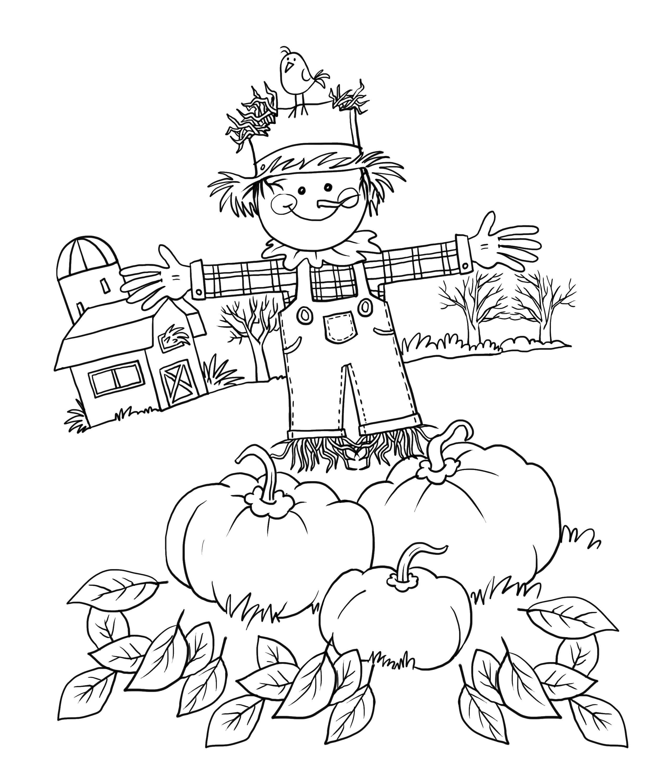 Coloring Scarecrow in the garden. Category Autumn leaves falling. Tags:  Scarecrow, pumpkin, leaves, bird.