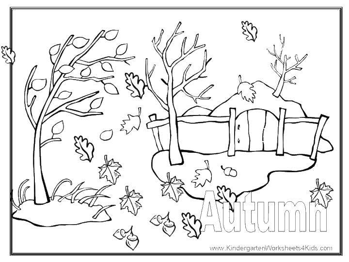 Название: Раскраска Деревья и опавшие листья. Категория: Осенний листопад. Теги: деревья, листья, забор.