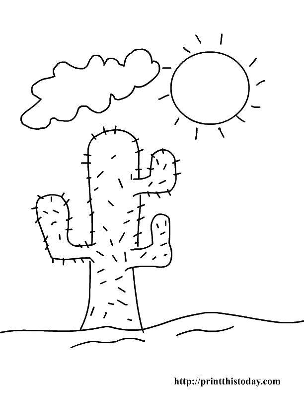 Coloring Saguaro and sun. Category Desert. Tags:  cactus, saguaro, needles, sun.