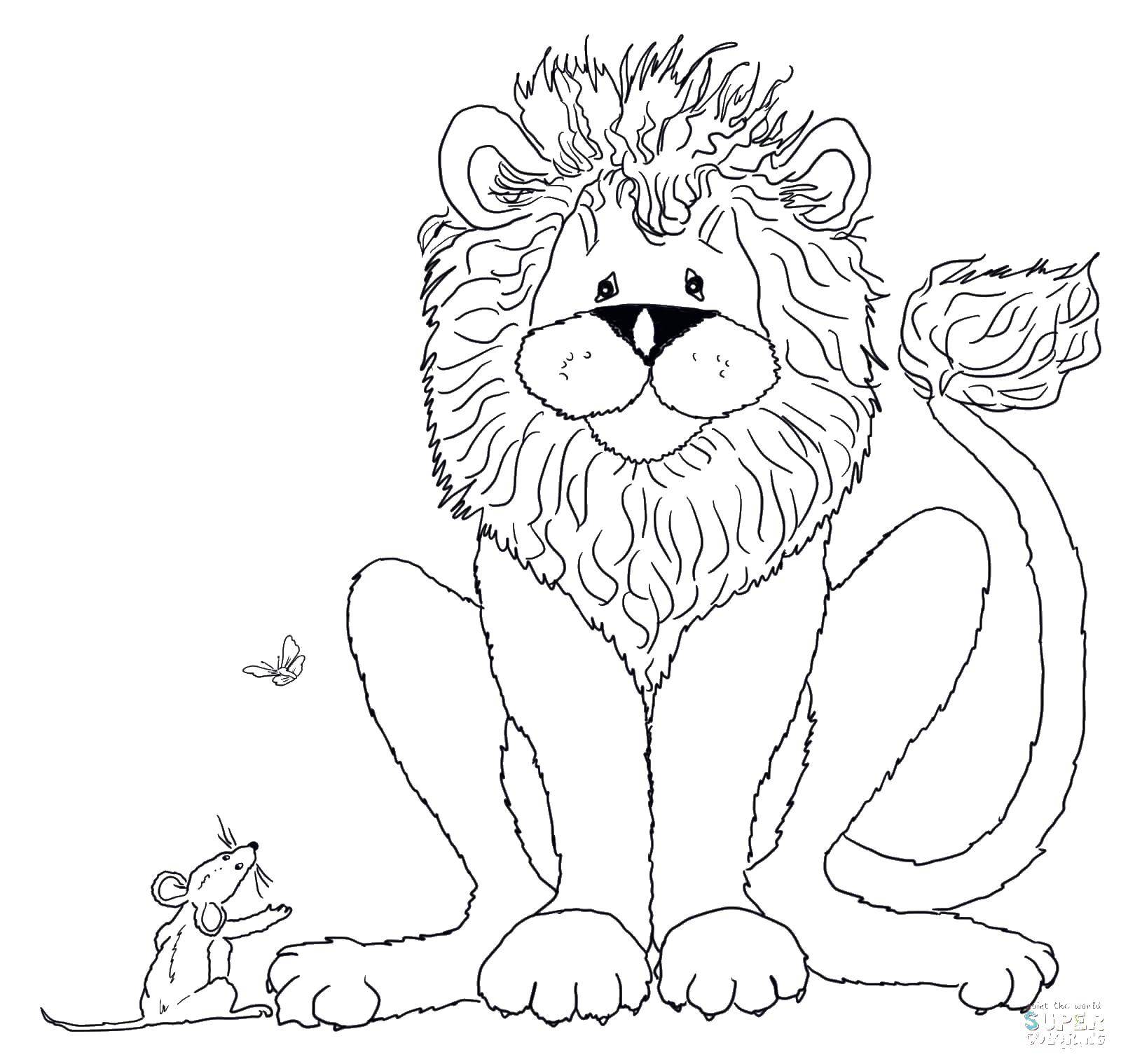 Название: Раскраска Лев и мышка. Категория: Животные. Теги: лев, грива, мышка.