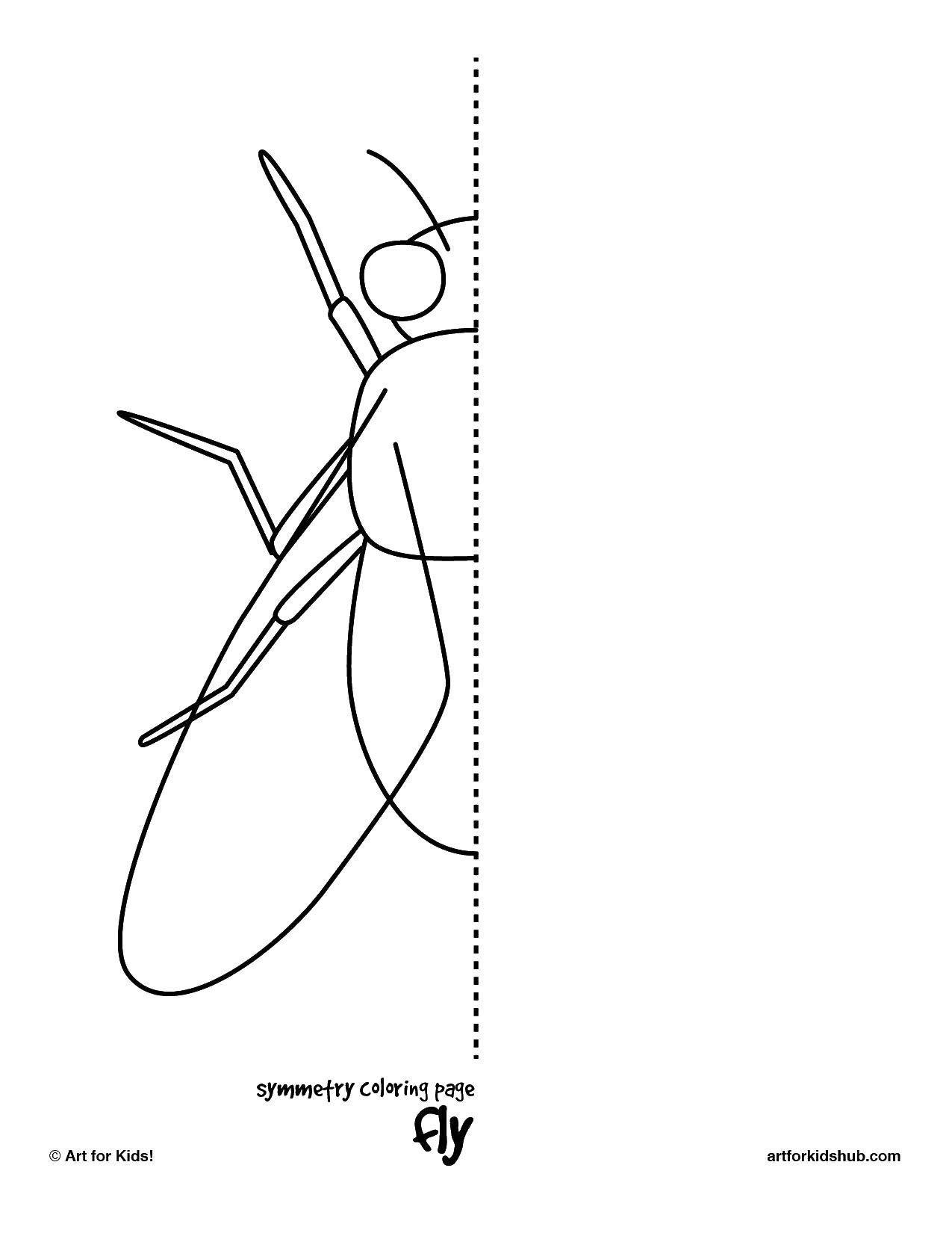 Coloring Fly. Category Kaleidoscope. Tags:  Teddy , coloring book.