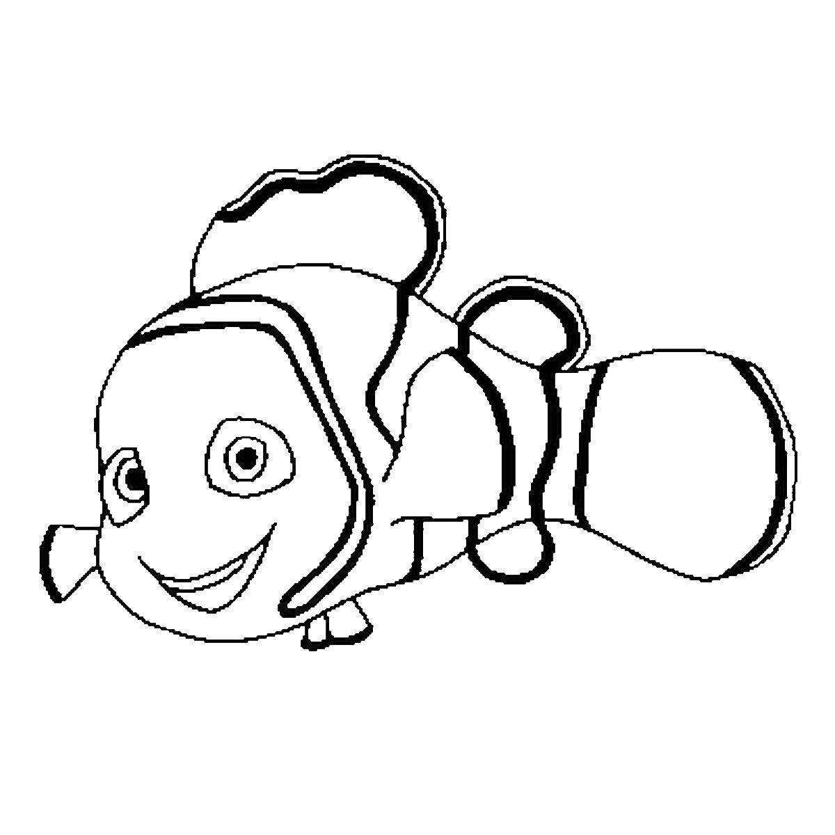 Название: Раскраска Немо из мультфильма  в поисках немо . Категория: Персонаж из мультфильма. Теги: Подводный мир, рыба, Немо.