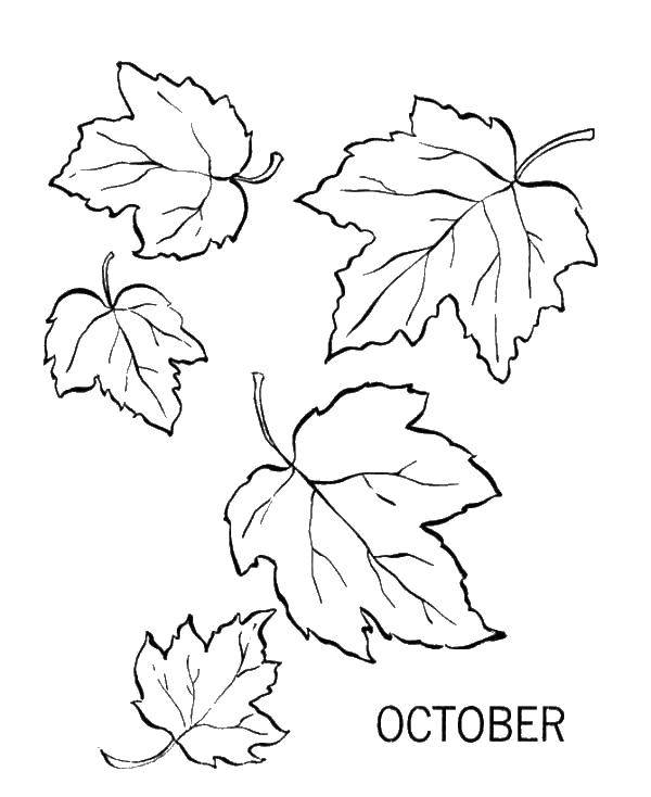 Название: Раскраска Октябрь листия. Категория: Осенний листопад. Теги: листия, октябрь.