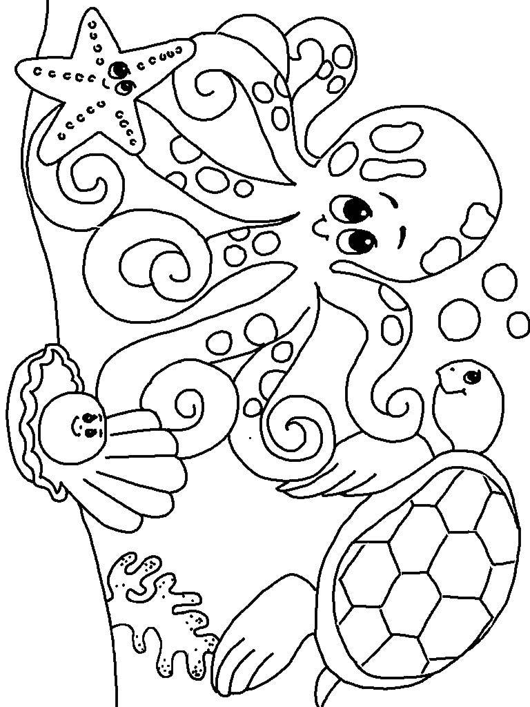 Название: Раскраска Осьминог и черепаха. Категория: океан. Теги: осьминог, черепаха, звезда, ракушка.