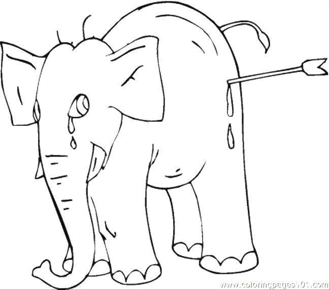 Coloring Crying elephant. Category Animals. Tags:  animals, elephants.