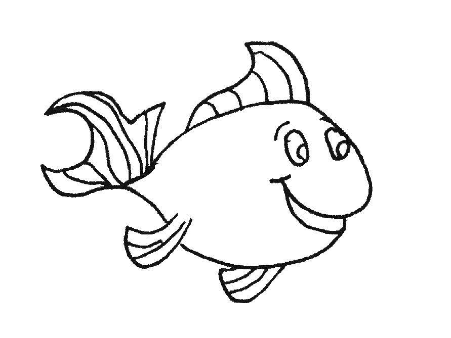Coloring Joyful fish with scallop. Category little ones. Tags:  Underwater world, fish.