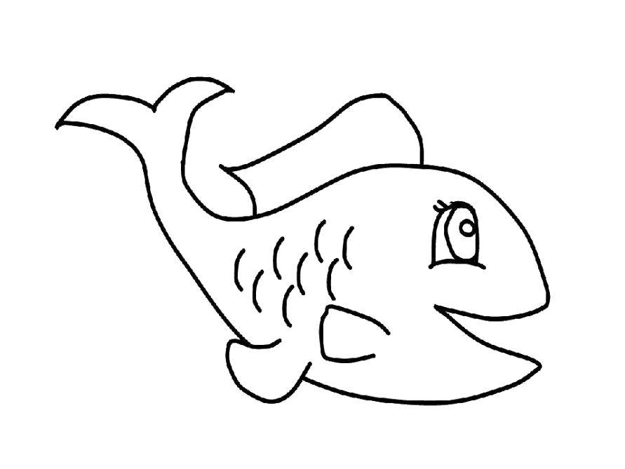 Coloring Joyful fish with scallop. Category little ones. Tags:  Underwater world, fish.