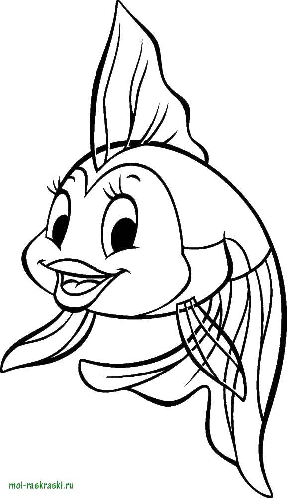 Coloring Happy fish. Category Coloring pages for kids. Tags:  marine inhabitants, the sea, fish, water.