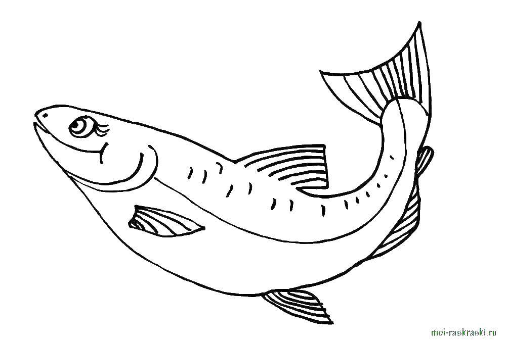 Название: Раскраска Рыба. Категория: рыбы. Теги: море, вода, рыбы.