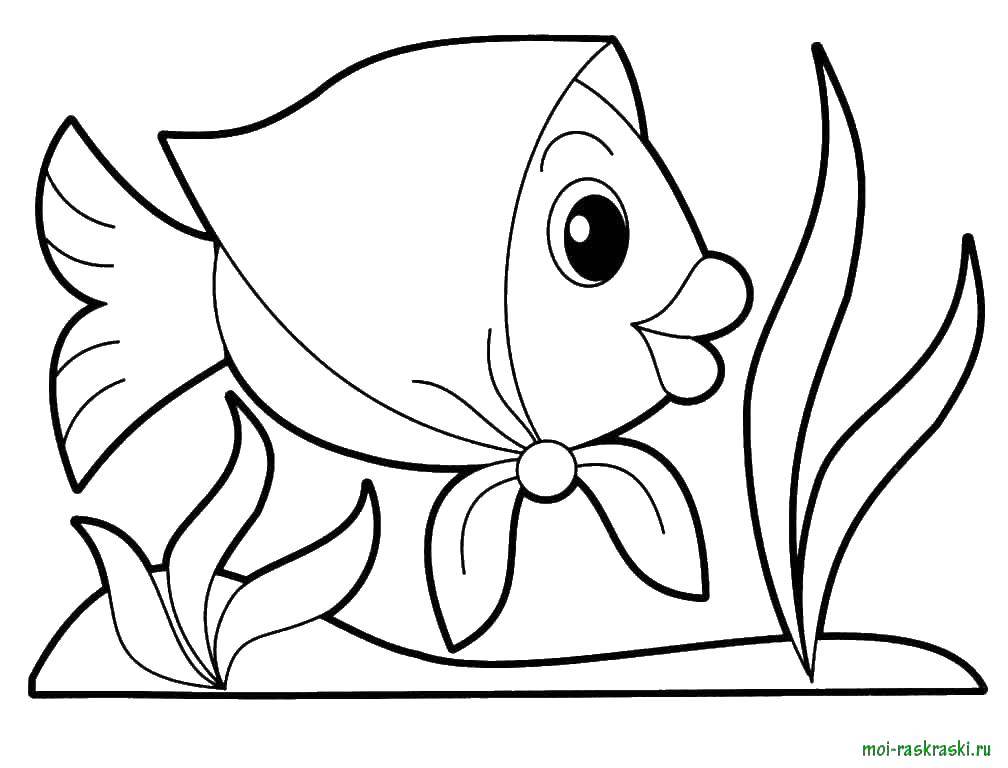 Coloring Fish in a scarf. Category Coloring pages for kids. Tags:  marine inhabitants, the sea, fish, water.