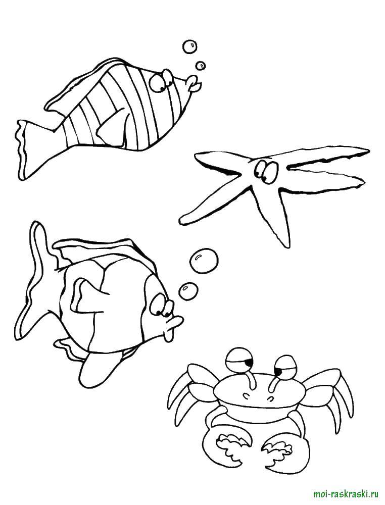 Coloring Fish, crab, starfish. Category fish. Tags:  sea, water, fish, crab, starfish.
