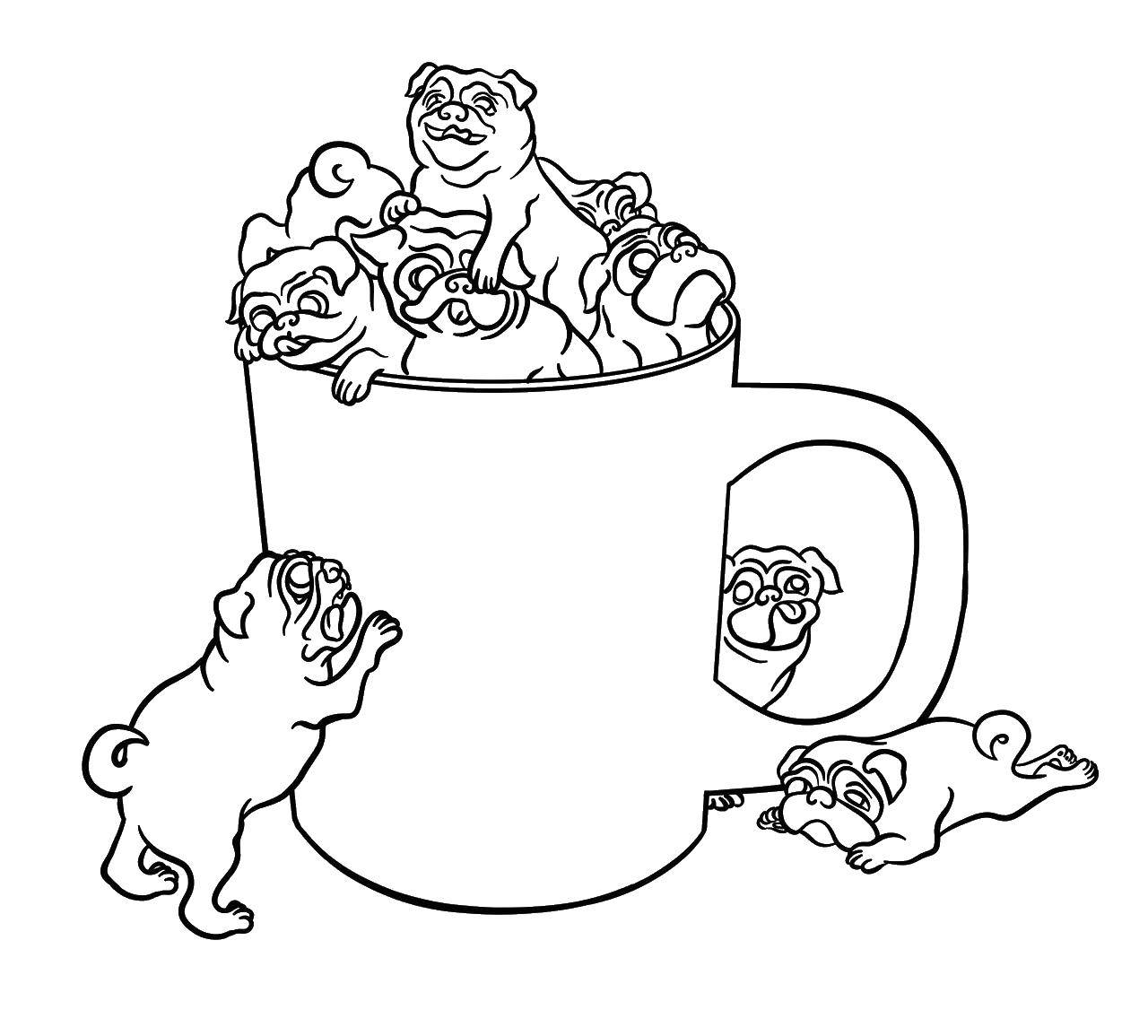 Coloring Puppies in a Cup. Category animals cubs . Tags:  mug, puppies.
