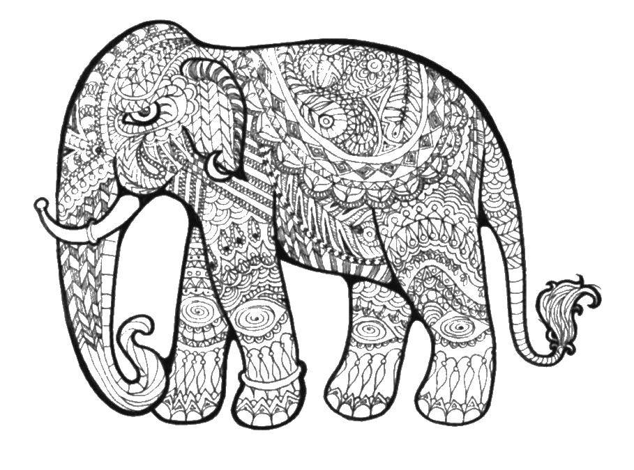 Coloring Elephant with patterns. Category Sophisticated design. Tags:  the elephant, trunk, tail, patterns.