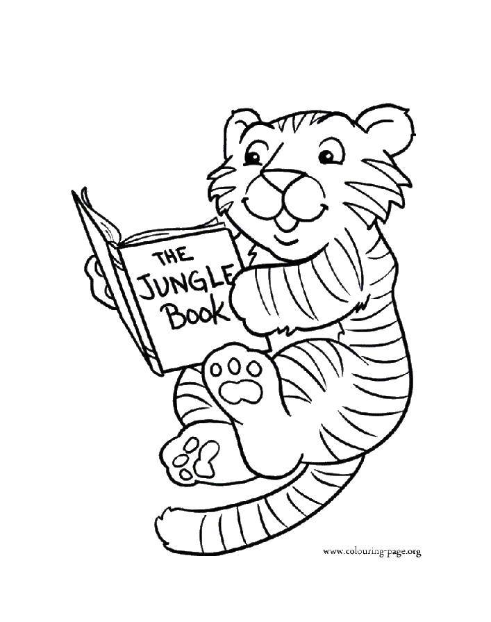 Название: Раскраска Тигр читает книгу джунглей. Категория: книга. Теги: книга.