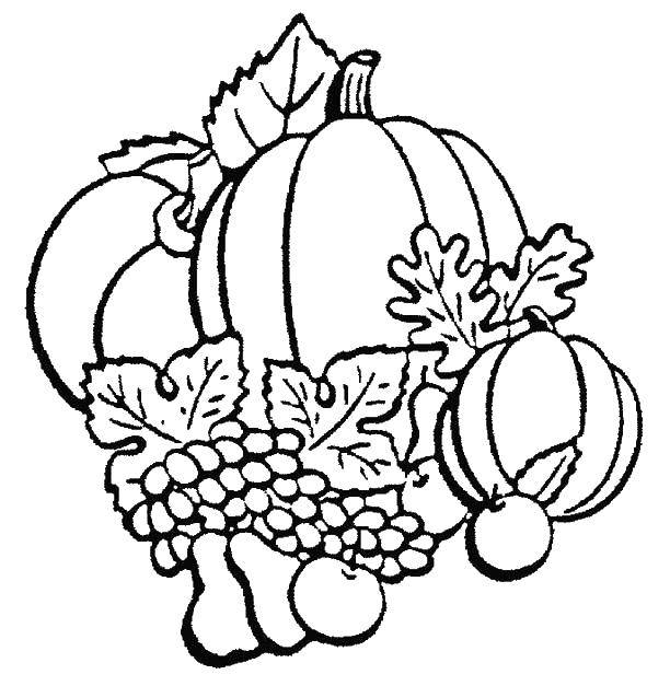 Название: Раскраска Тыква и фрукты. Категория: Осень. Теги: тыква, виноград, яблоки, груша.