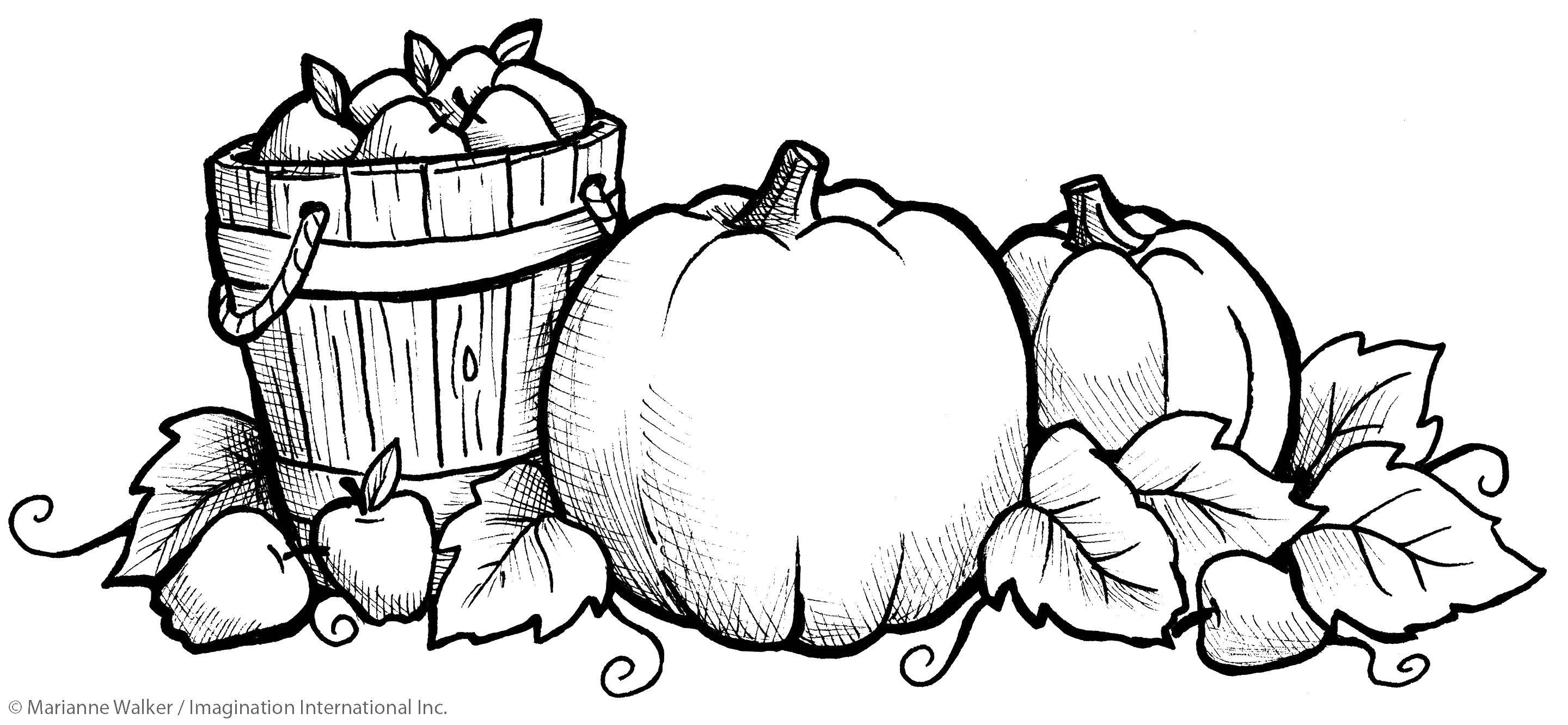 Название: Раскраска Тыквы и бочка с яблоками. Категория: Осень. Теги: тыква, яблоки, ведро, листья.