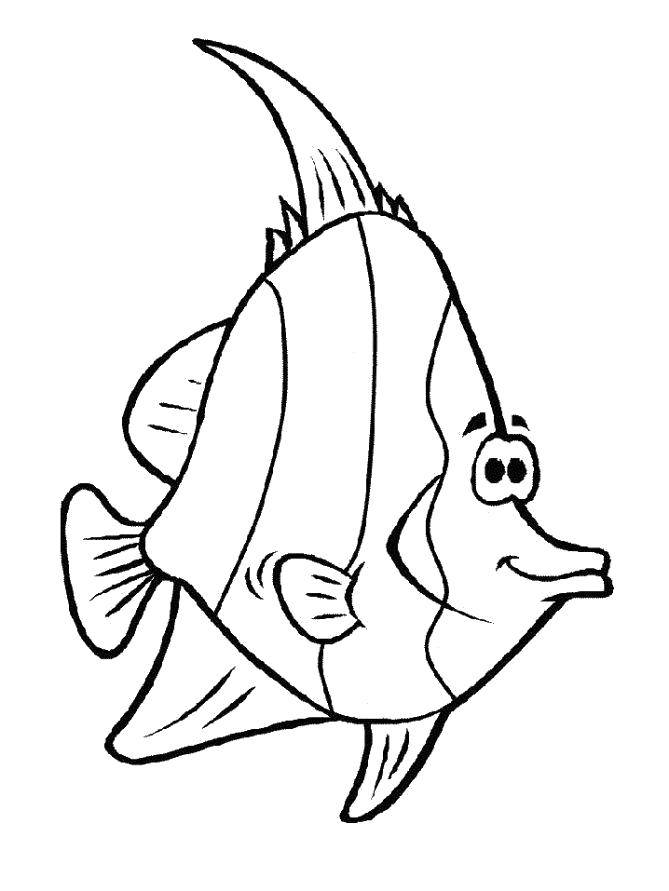 Название: Раскраска Веселая рыба с гребешком. Категория: рыбы. Теги: Подводный мир, рыба.