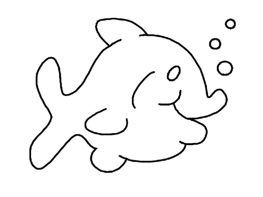 Название: Раскраска Веселый дельфин пускает пузыри. Категория: малышам. Теги: Подводный мир, рыба.