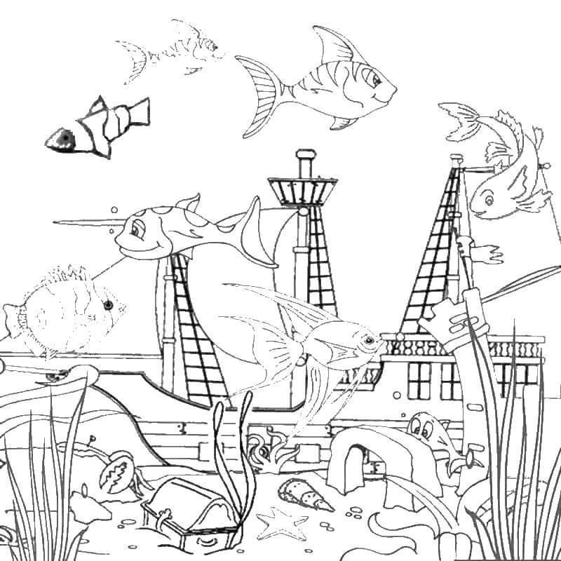Название: Раскраска Затонувший корабль и рыбы. Категория: Океан. Теги: корабль, рыбы, сундук, водоросли.