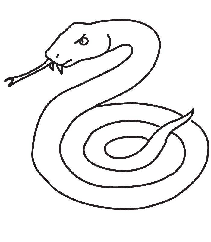 Название: Раскраска Злая змея. Категория: Змея. Теги: Рептилия, змея.