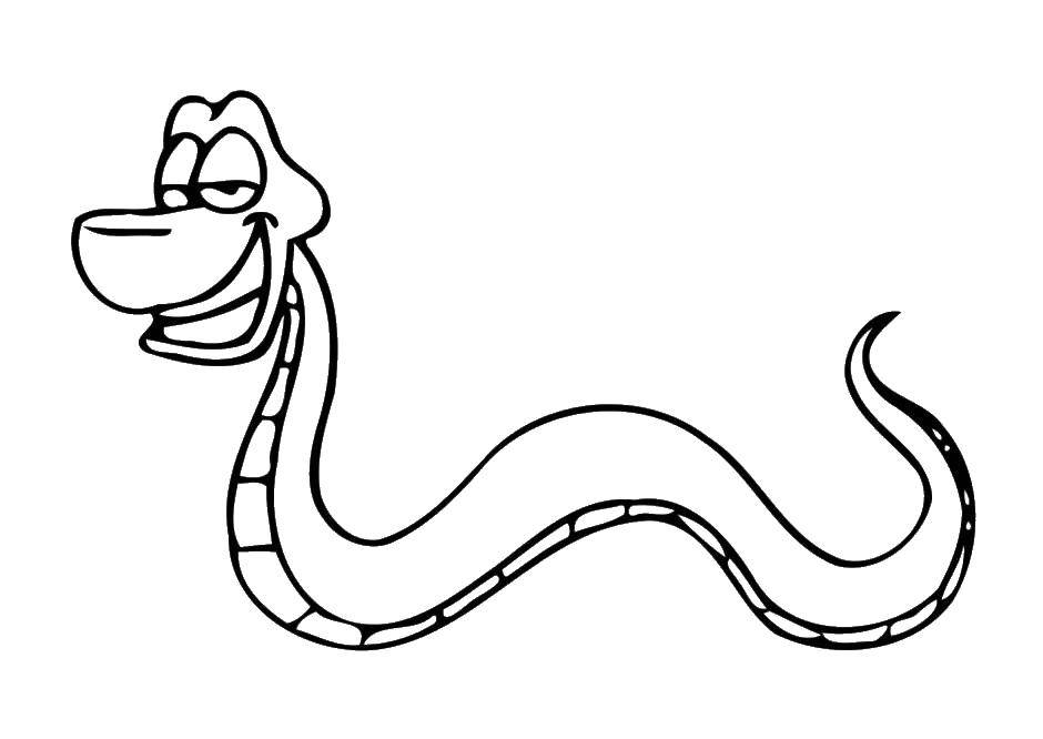 Название: Раскраска Змея с улыбкой. Категория: Змея. Теги: змея, улыбка, зубы.