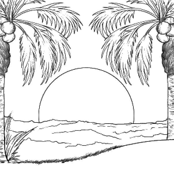 Розмальовки  Захід сонця на пляжі. Завантажити розмальовку захід, сонце, пляж, пальми.  Роздрукувати ,захід сонця,