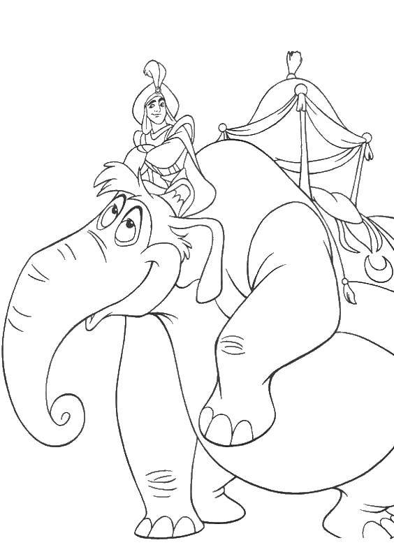 Coloring Aladdin on the elephant. Category the carpet plane. Tags:  Aladdin, the elephant.