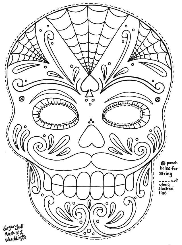 Coloring Skull with patterns and web. Category Skull. Tags:  to cut, skull.