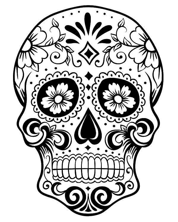 Coloring The skull patterns with flowers. Category Skull. Tags:  skulls, flowers, patterns.