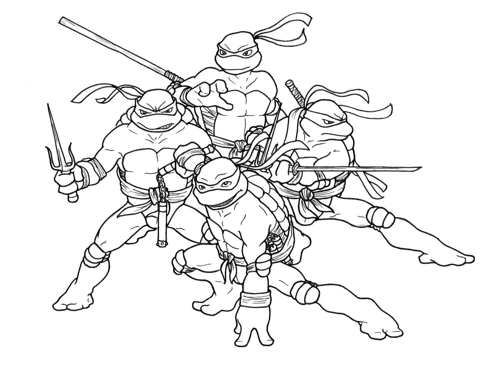 Название: Раскраска Черепашки ниндзя с оружием. Категория: ниндзя. Теги: черепашки ниндзя, черепашки, мультики.
