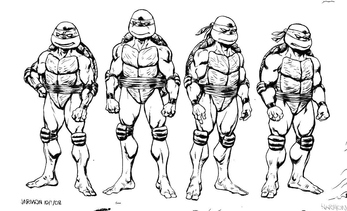 Coloring Teenage mutant ninja turtles. Category ninja . Tags:  turtles, ninjas, masks.