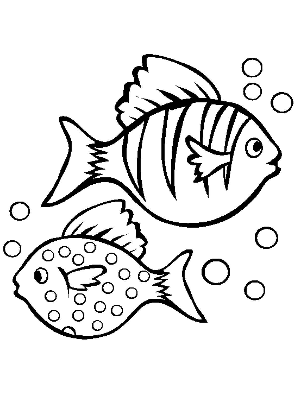 Название: Раскраска Две рыбки. Категория: рыбы. Теги: морские жители, море, рыбы, вода.
