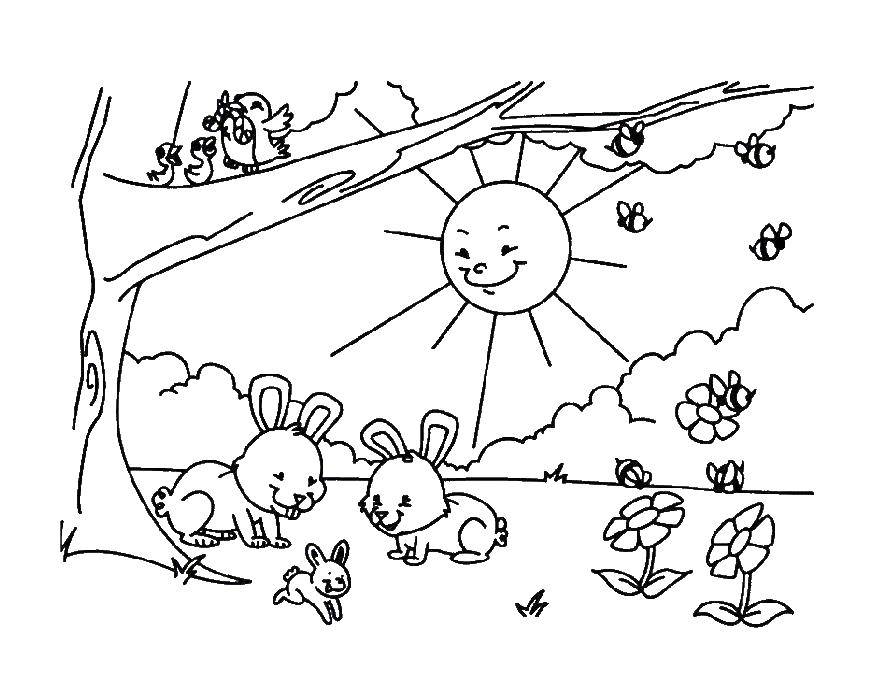 Coloring Forest dwellers and the sun. Category Nature. Tags:  nature, forest, sun.