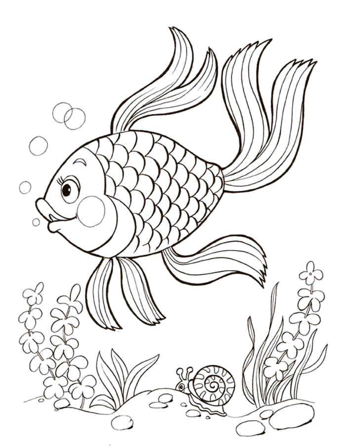 Название: Раскраска Милая золотая рыбка улыбается. Категория: рыбы. Теги: Подводный мир, рыба.