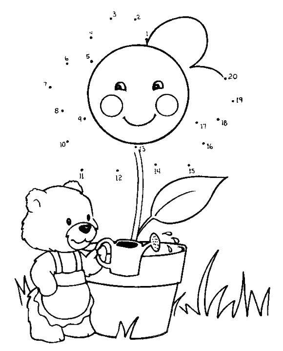 Coloring Bear throws a Daisy. Category coloring. Tags:  circle points, chamomile.