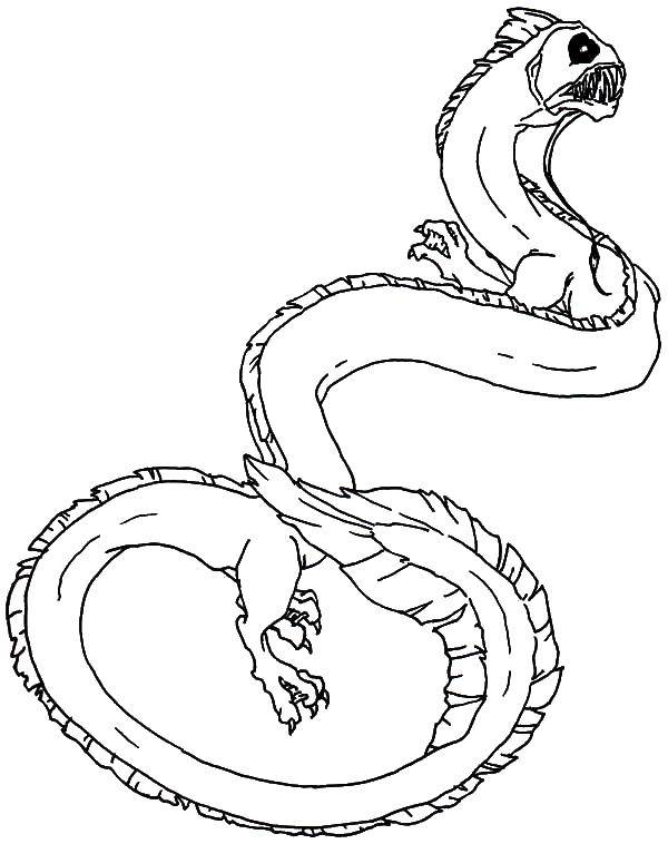 Название: Раскраска Морской змей. Категория: Морской монстр. Теги: монстр, морской змей.