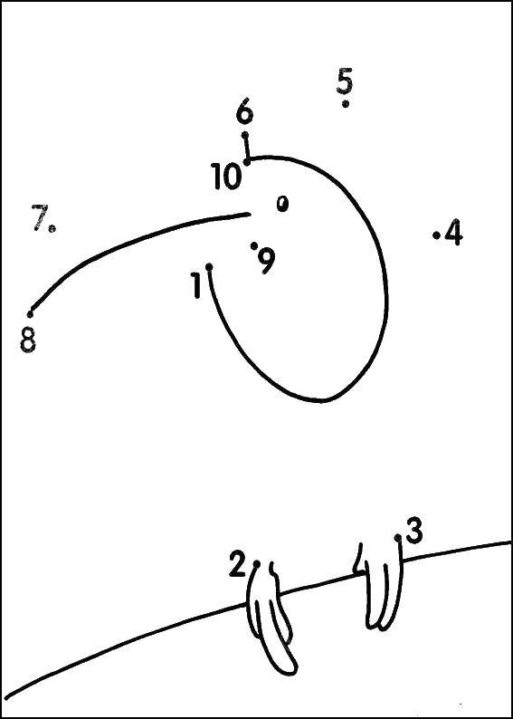 Coloring Circle through points a bird. Category coloring. Tags:  circle points, bird.