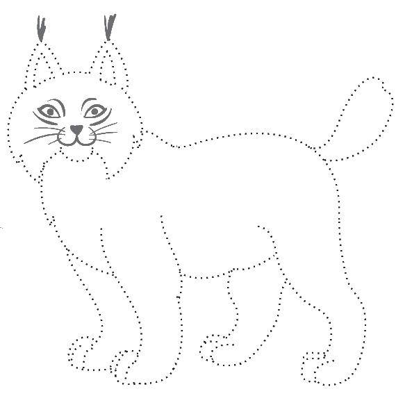 Coloring Circle points lynxes. Category coloring. Tags:  circle points, lynx.