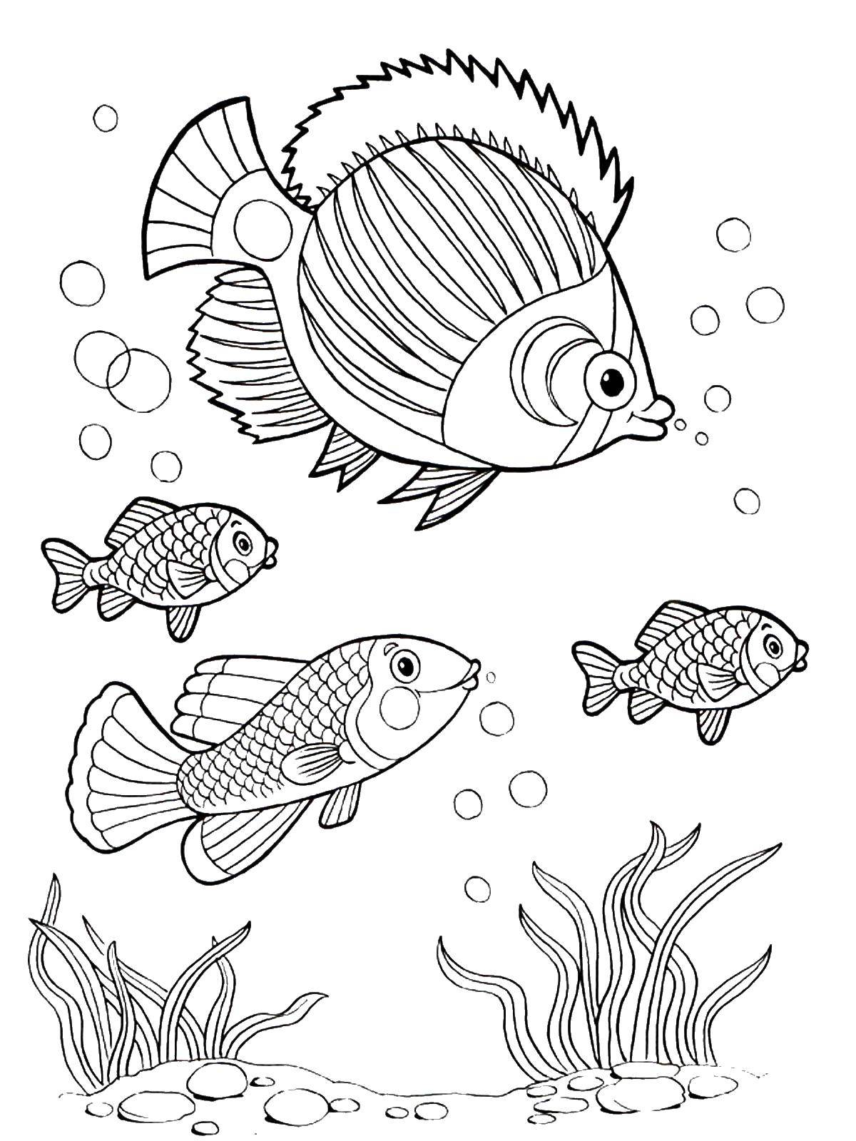Название: Раскраска Разнообразные рыбы около дна. Категория: рыбы. Теги: морские жители, море, рыбы, вода, дно.