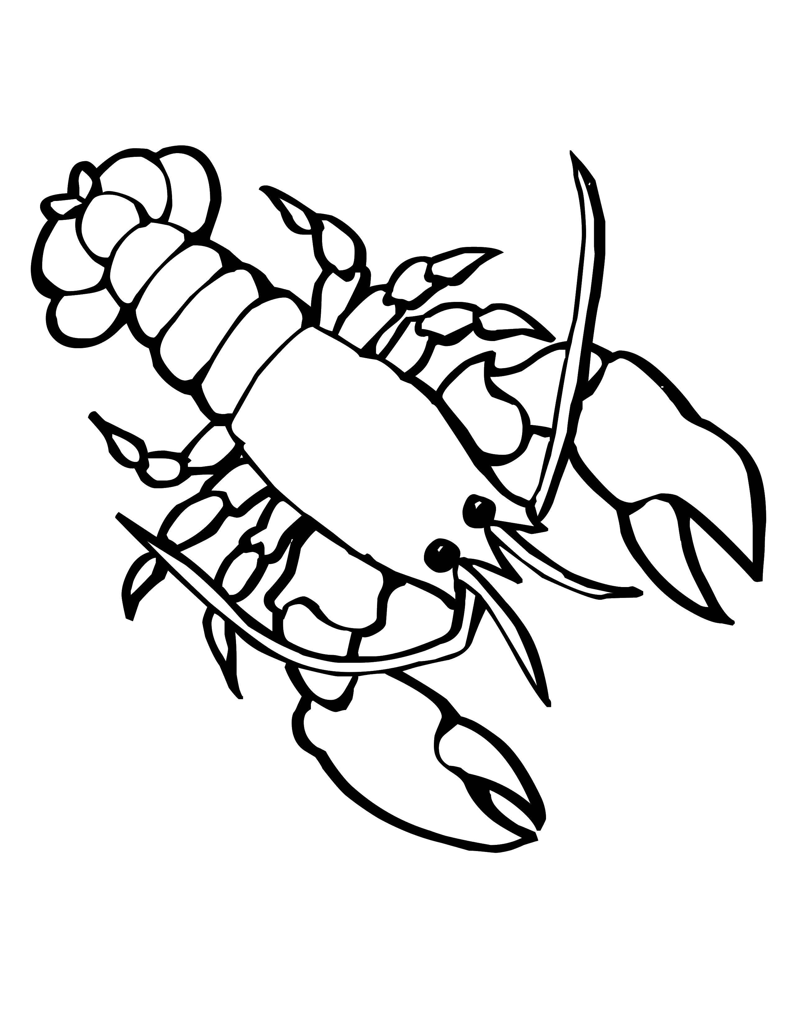 Coloring River crayfish. Category marine. Tags:  Underwater world.