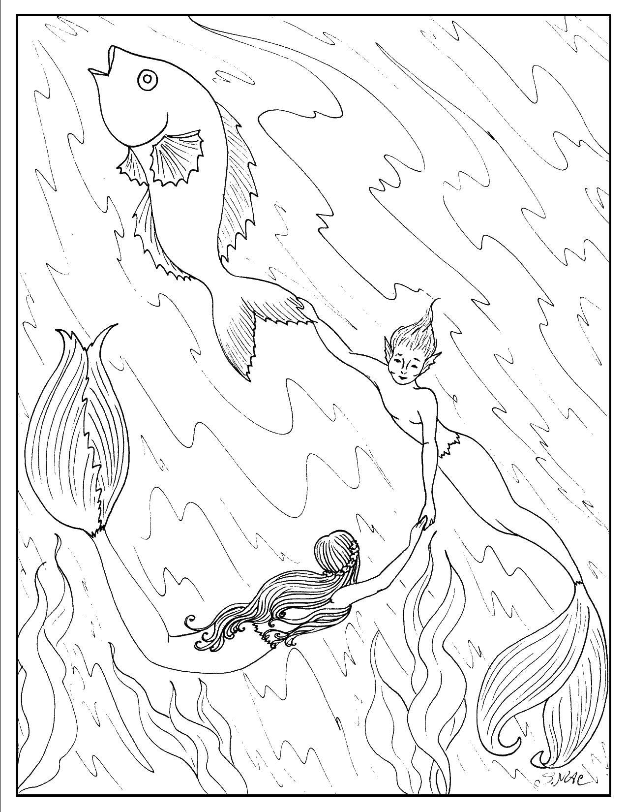 Coloring Mermaids and fish. Category marine. Tags:  marine inhabitants, the sea, fish, mermaids.