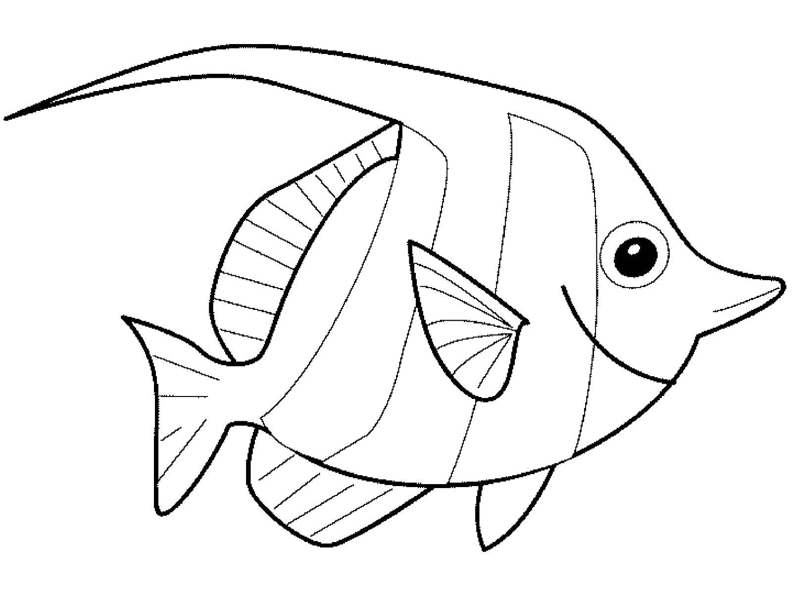 Название: Раскраска Рыба. Категория: рыбы. Теги: морские жители, море, рыбы, вода.