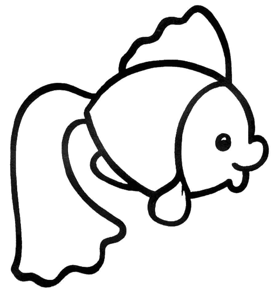 Coloring Fish. Category fish. Tags:  fish, fish.